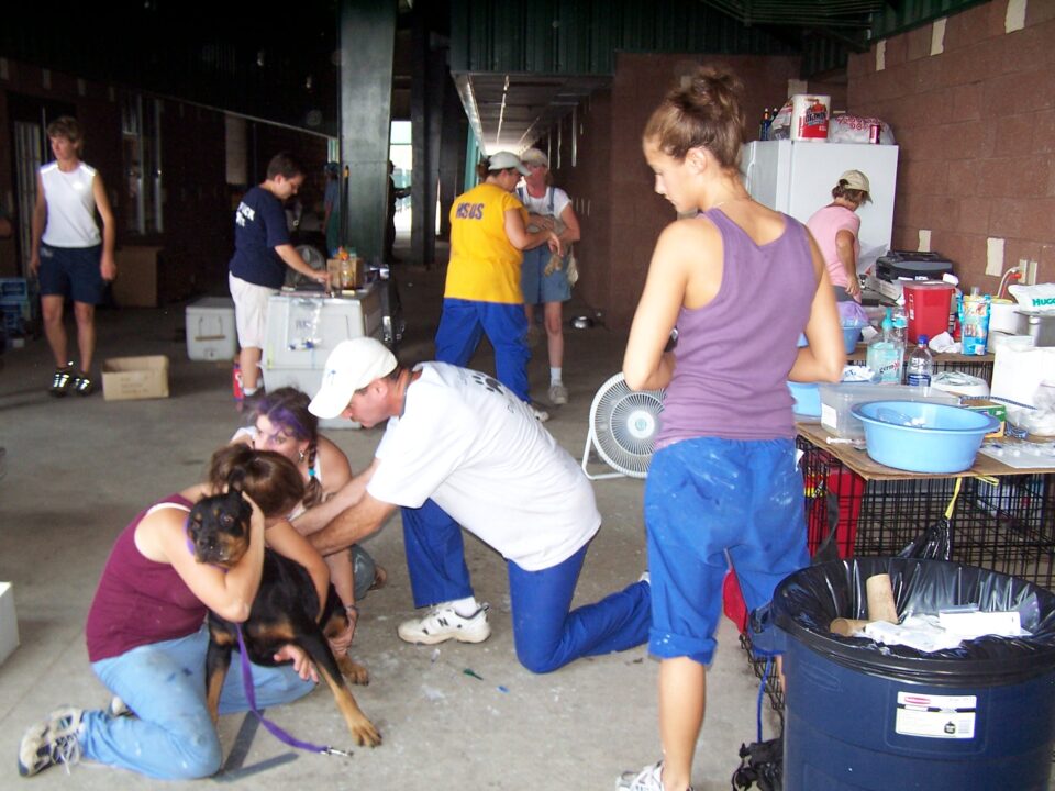 Lollypop Farm Aids Hurricane Katrina Relief