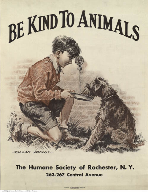 Be Kind to Animals Week