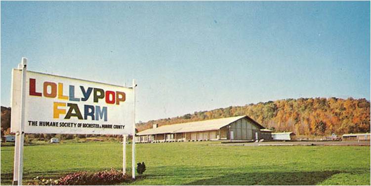 Lollypop Farm Officially Moves to Perinton