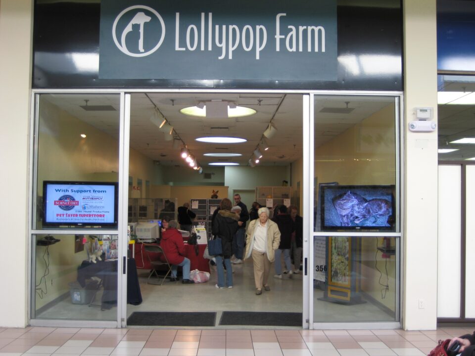 Lollypop Farm West Closes & Opens Adoption Location in Mall at Greece Ridge